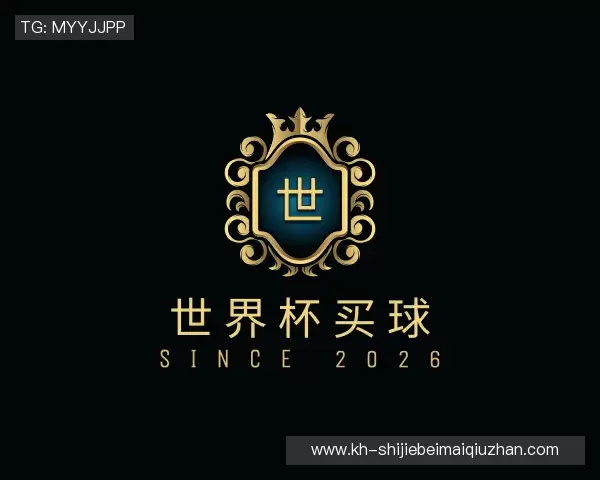 了解2026世界杯